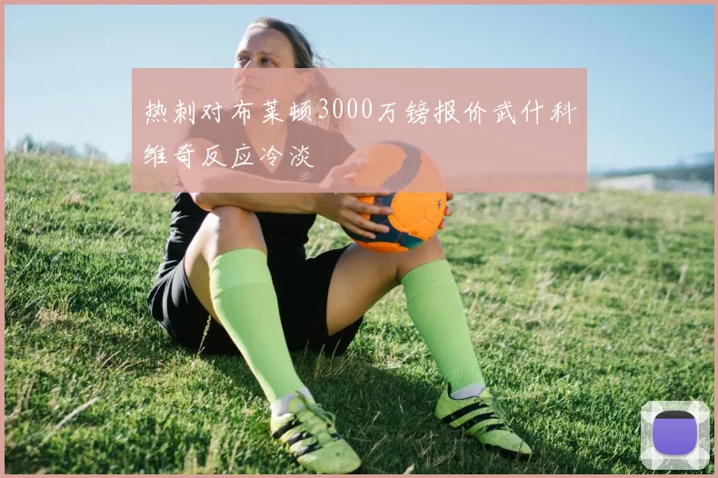 热刺对布莱顿3000万镑报价武什科维奇反应冷淡